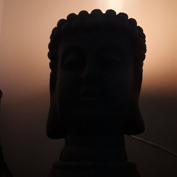 Lámpara de Sal del Himalaya Cabeza de Buda