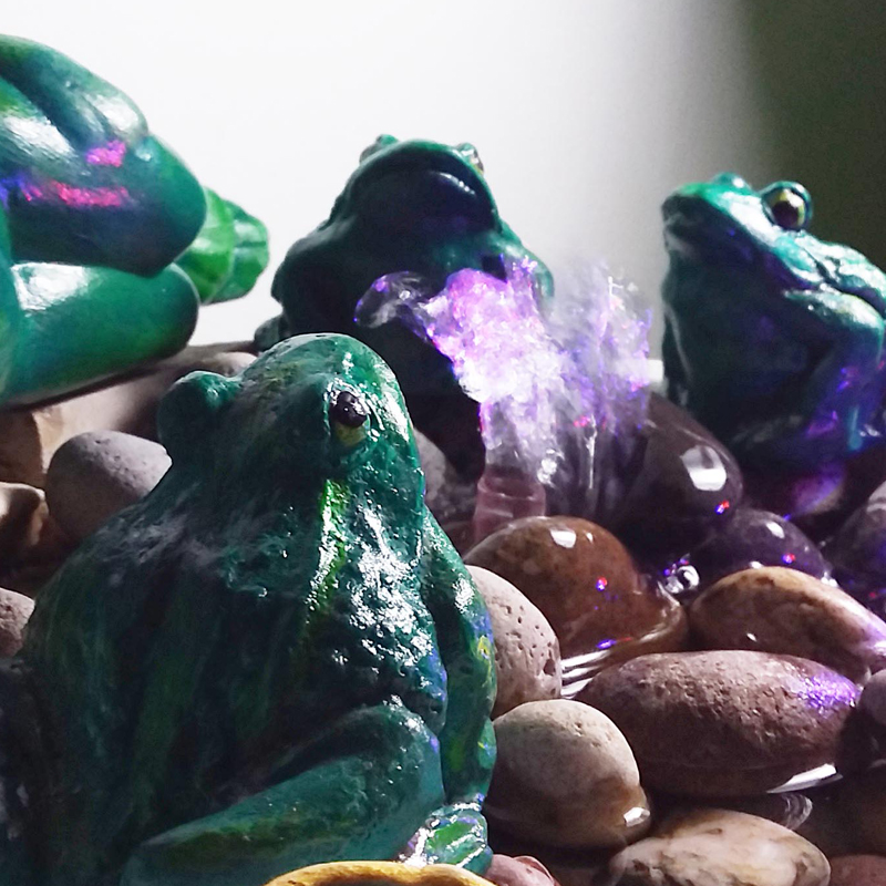 Fuente de Agua Mediana Familia de Sapos