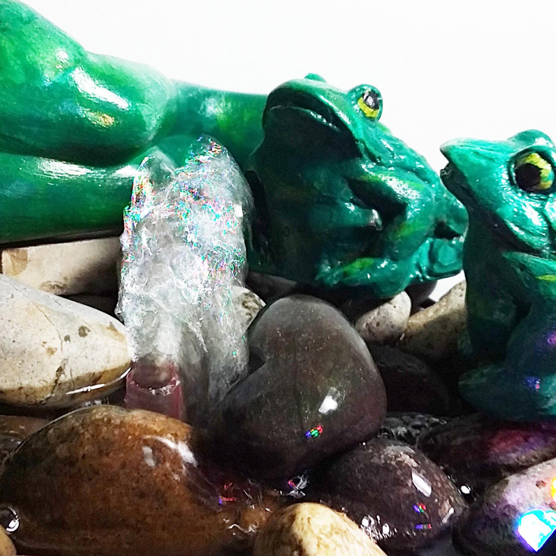 Fuente de Agua Mediana Familia de Sapos