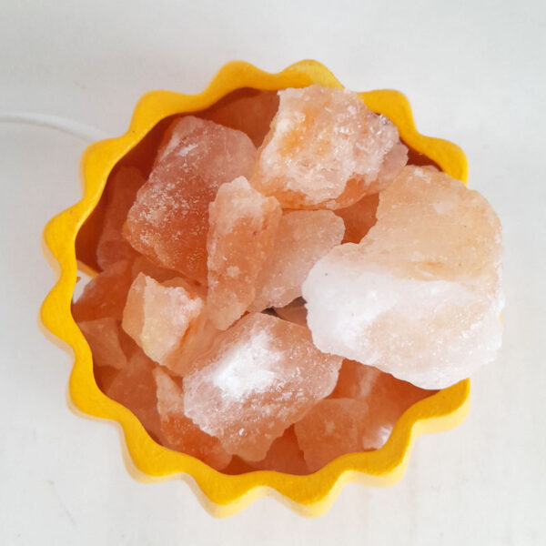 Lámpara de Sal del Himalaya Calabaza