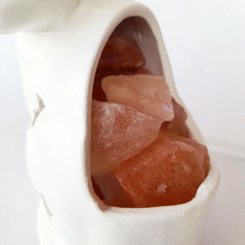 Lámpara de Sal del Himalaya Gato con Estrellas Blanco